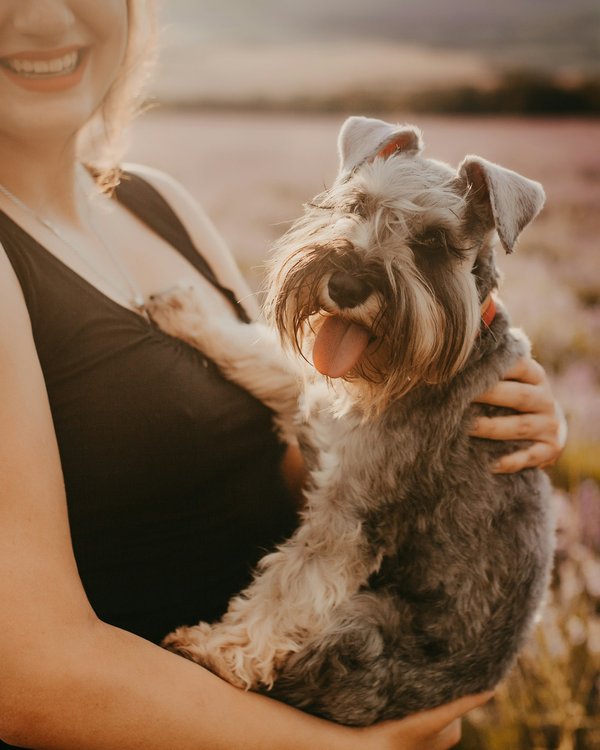 Tout pour votre chien : la boutique en ligne qui déchire !